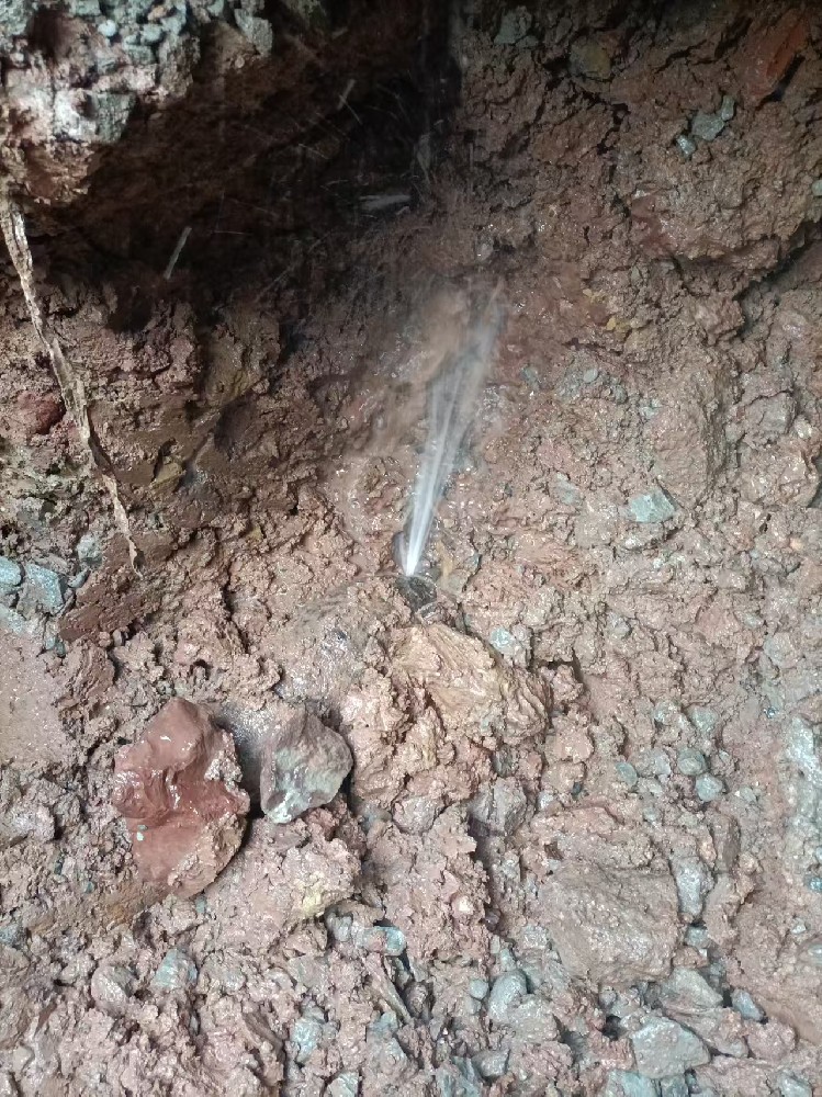 隆阳区本地服务：自来水管漏水检测维修